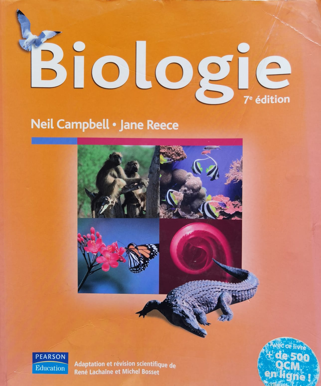 biologie 7 edition                                                                                   neil campbell   jane reece                                                                          
