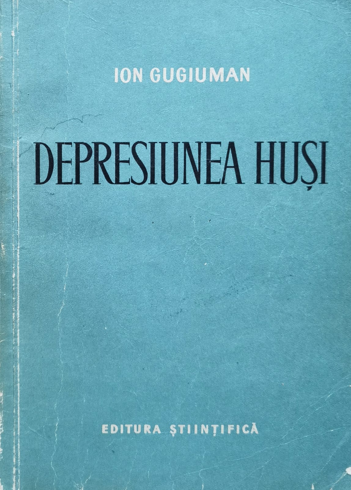 depresiunea husi                                                                                     ion gugiuman                                                                                        