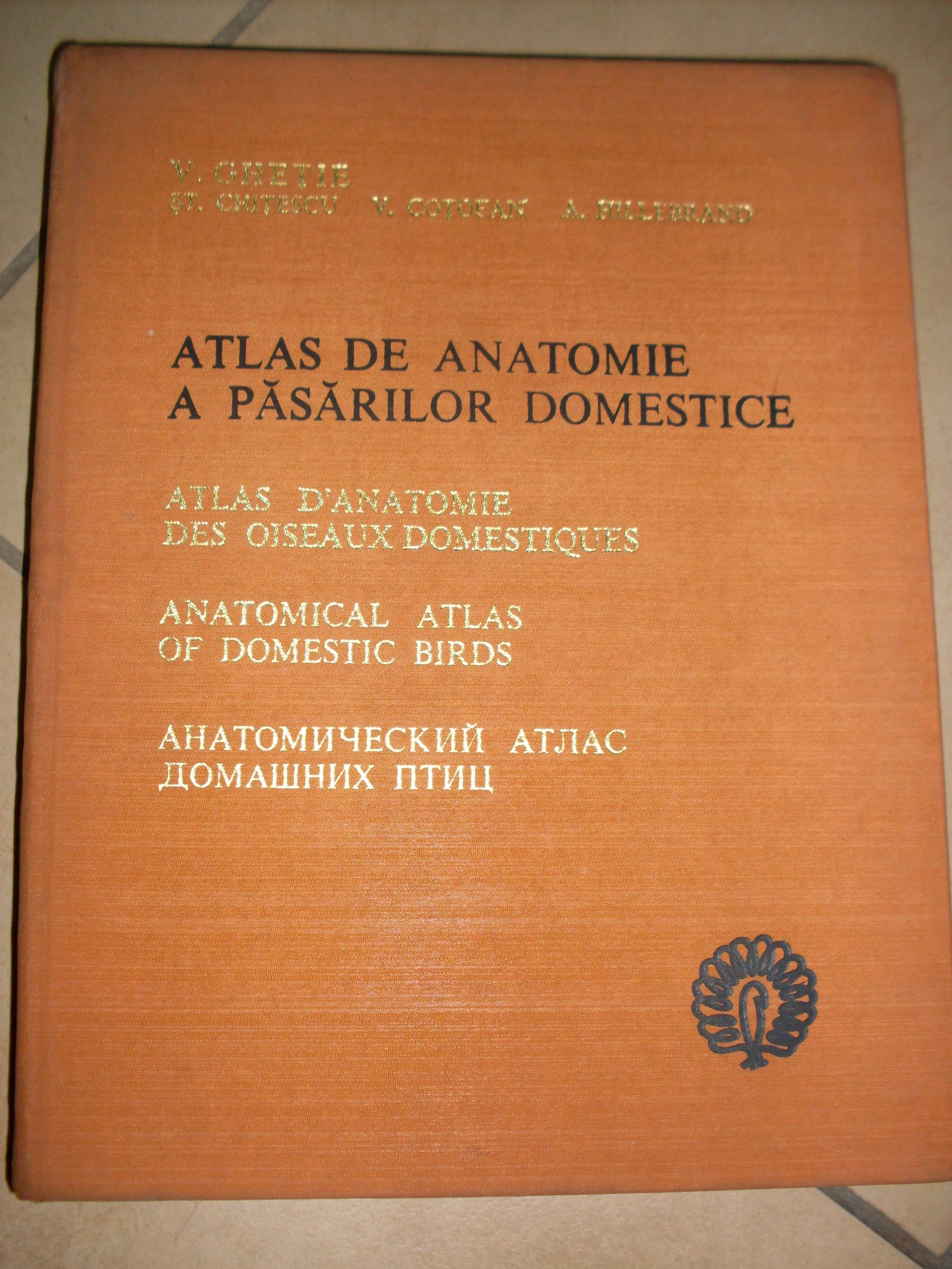 atlas de anatome a pasarilor domestice                                                               v. ghetie, v. cotofan, a. hillebrand                                                                